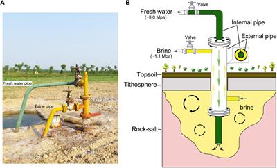 Microbial community structure and shift pattern of industry brine after a long-term static storage in closed tank